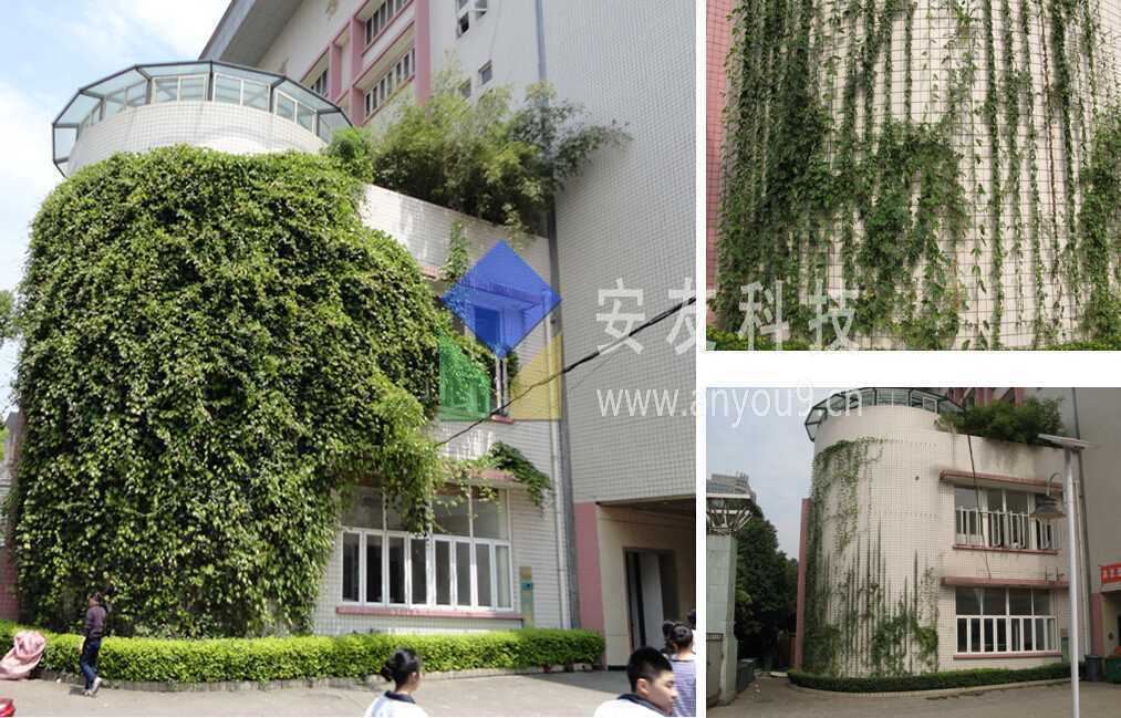 �������Lʽ�G����Ԫ����Ч��