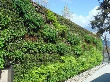 ���⾰�^����G������