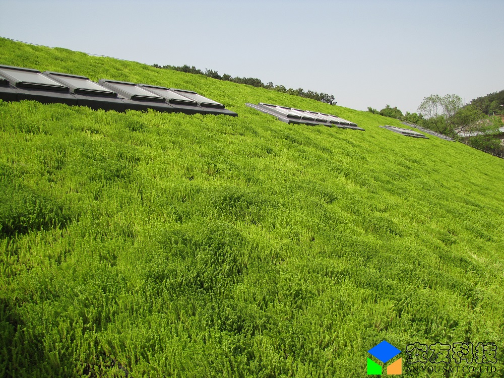 ��h���d�G����픾G��