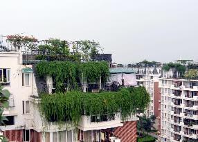 �ؿھG��ϵ�y