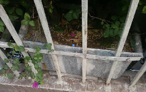 �̶��Y(ji��)��(g��u)