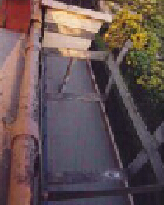 �P�g����м�