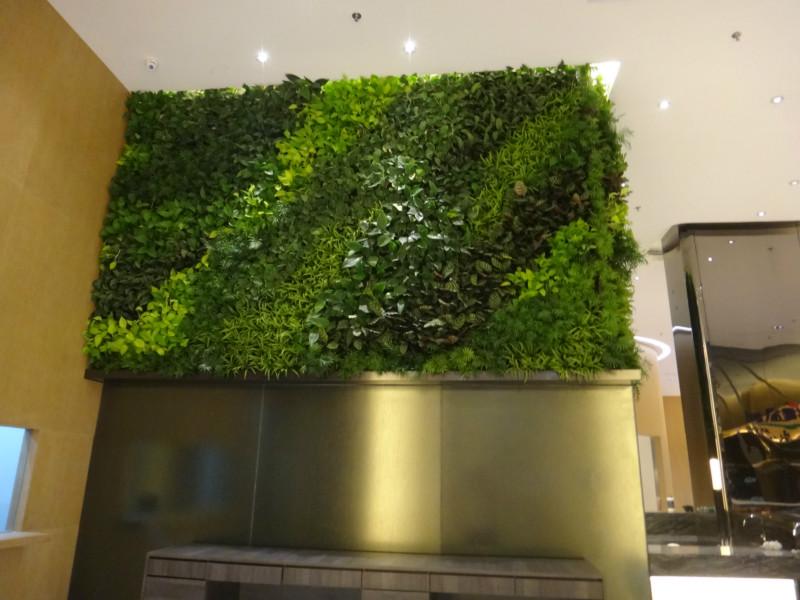 �k�������B(t��i)ֲ�