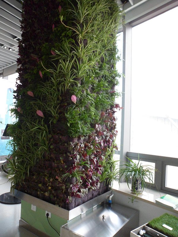 �����G������