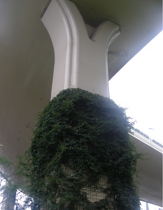 �����G������